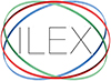 Ilex formation & Consulting